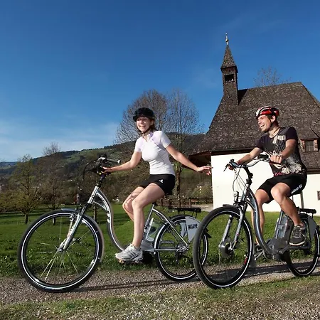 Brixental Aparthotel 3*